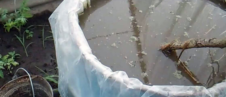 Магия простого удобрения: как сделать из отходов настоящий клад для сада