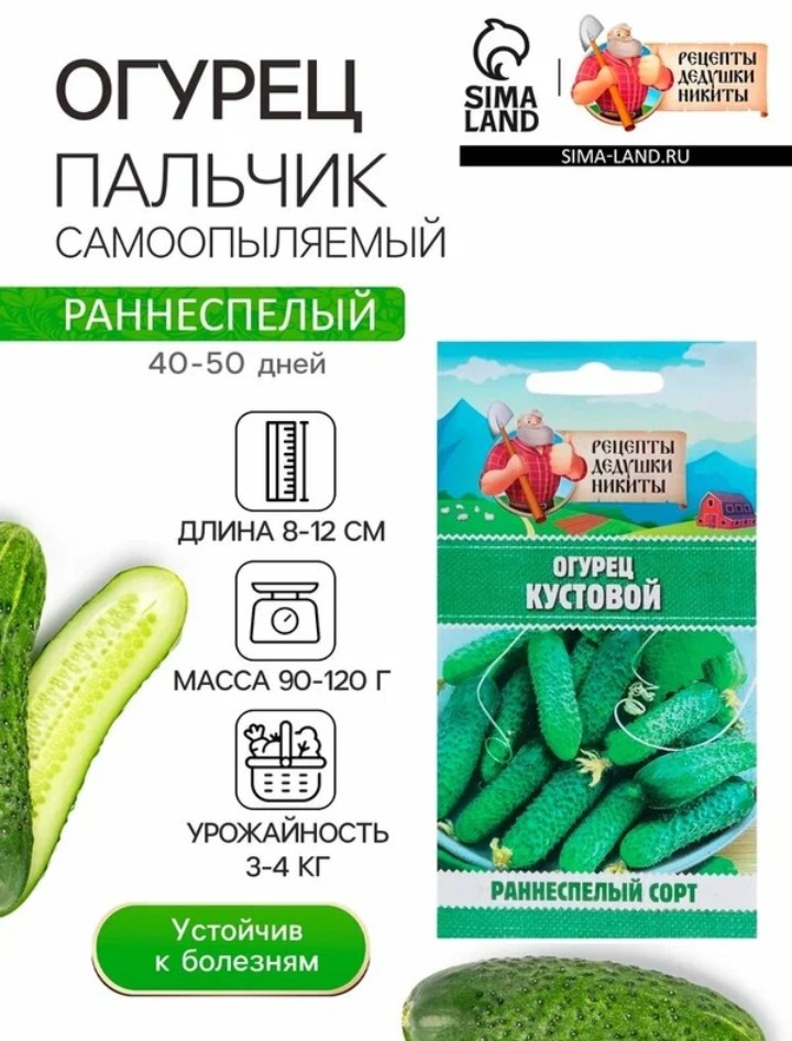 Огурец Пальчик: Лучший выбор для вашего огорода в этом году