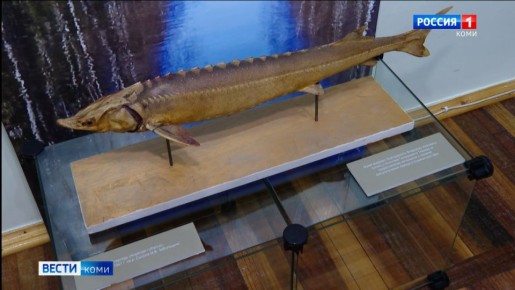 � ������������ ����� ���� ��������� �������� ����� ��������