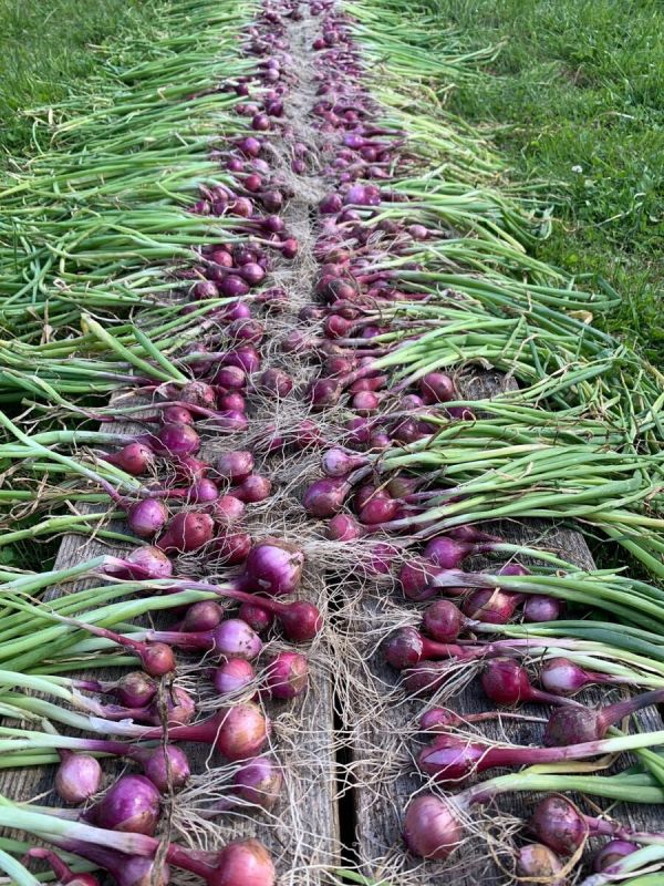 ����� �������� ��� ������ ���� �� ���: ����� � ������ � ����