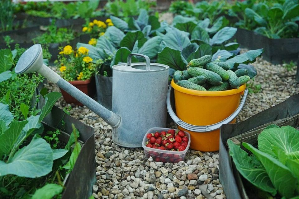 ����������� ������ � ���� � ������� ������