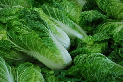 Пекинская капуста: пять самых популярных сортов для вашего огорода