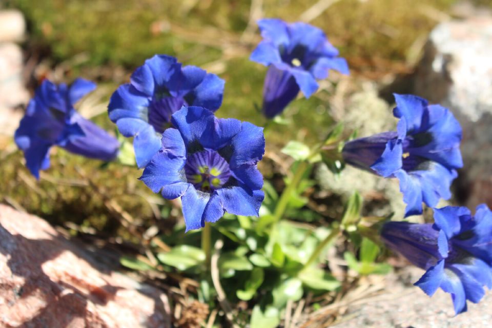 �������� ��� �������������: ���������� ������ � ������������� ���� ��������� ��������� �����