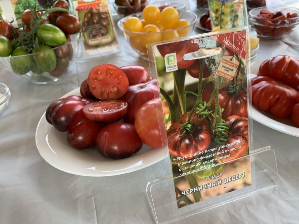 ����� � ������� �������: ��� ������� ��� ���������� ������