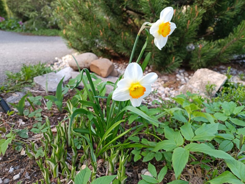 ��� ��������� �� ���������� ����� ��������: ������� �������� �������