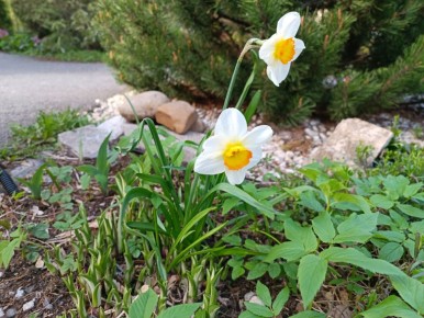 ��� ��������� �� ���������� ����� ��������: ������� �������� �������