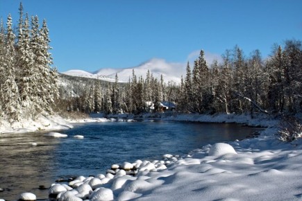 С первым днём весны!. Несмотря на то, что на улице всё ещё лежит снег и термометр показывает минусовые температуры, в душе у каждого из нас с этой датой связано ожидание скорого тепла, света и обновления