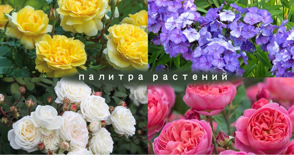 �������� ������� � ����: ��� �������� ������ �� ���� ����������