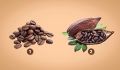 Тест на интуицию: что выбирает кофе или какао?
