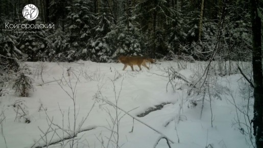 ����������� �������� ������������� ������� ���� � ���� ������