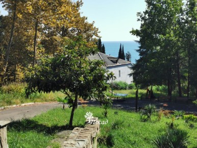 ��������: ������� �������� ���� ������� � ��� ��������� �����