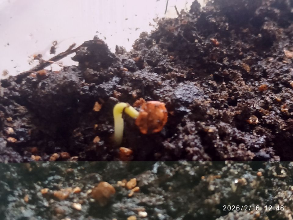 ��� ���������� �� '�������': ������� ��������� ������������ �����