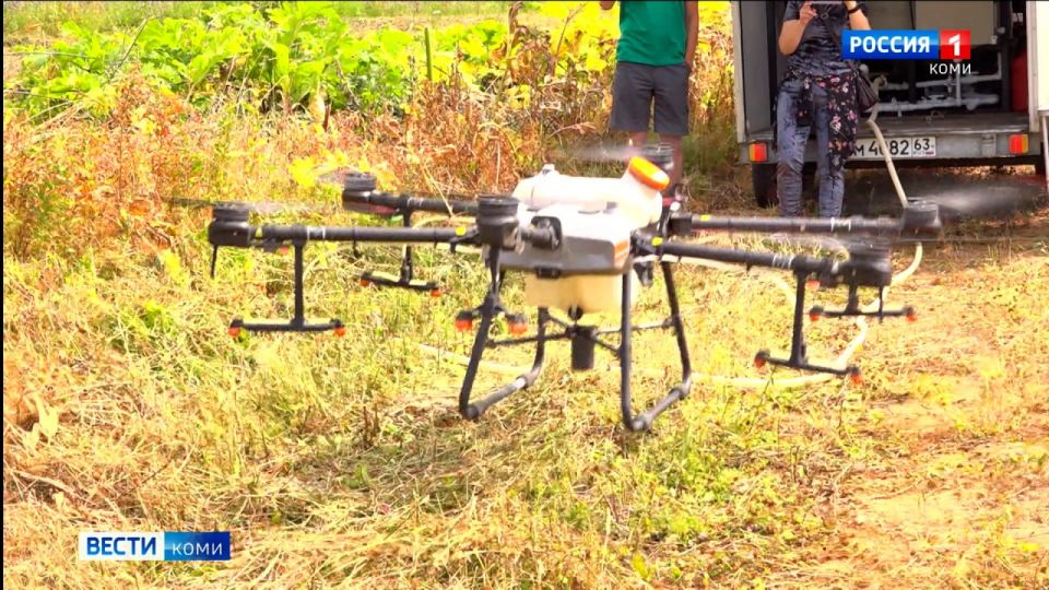 Технологии беспилотников — против борщевика