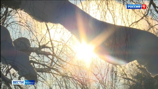 ������� ������ �� ��������