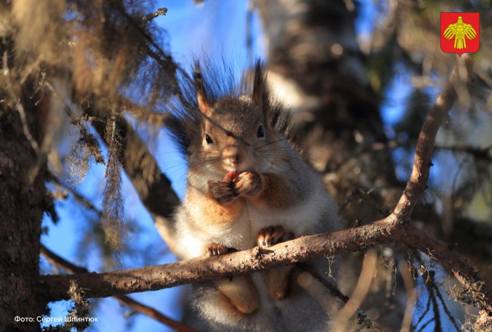 � ������� ��������, ������!