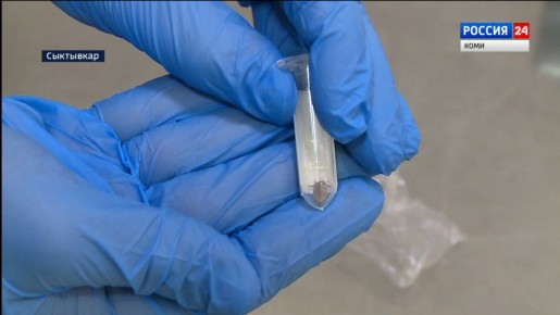 � ������ ����� ����� ���������� ������ � ���� �������� ������