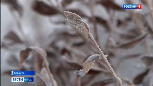 � ������� �������� ������������ ���� ��� ���������� � 1 �� 5 �����