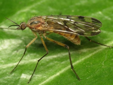 ��� ���������� �� ����� � ������ ����� �� 3 ����