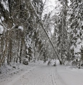 ������ ��������: ������� ������ �������, �� ������������ ������������ - ������� �����! ������, �� ��������� ��������, ��� ������ ������ � ���������� �� ������ ���� �� ����� ������������ � ���� ���� �� ���������