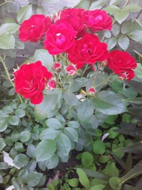 ��� ����� ��������� ����� ��� �������������� ��� � ����� ����