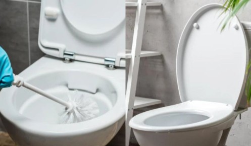 Как быстро избавиться от ржавчины в унитазе: простые советы