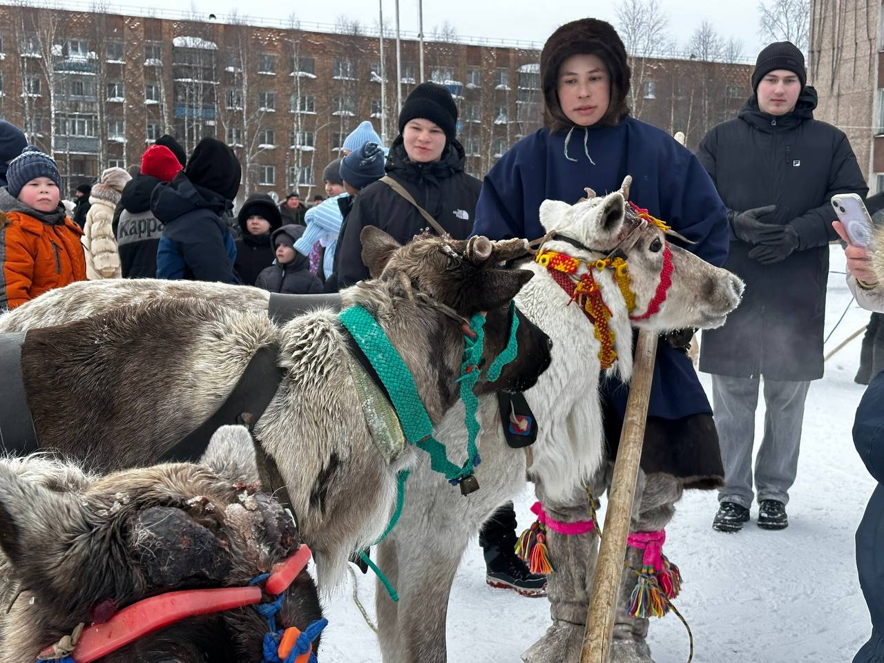 В Коми с размахом отметили традиционный праздник оленеводов В Коми с размахом отметили традиционный праздник оленеводов