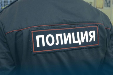 В Воркуте полицейские уличили многодетную мать из Пензы в мошенничестве при получении детских пособий