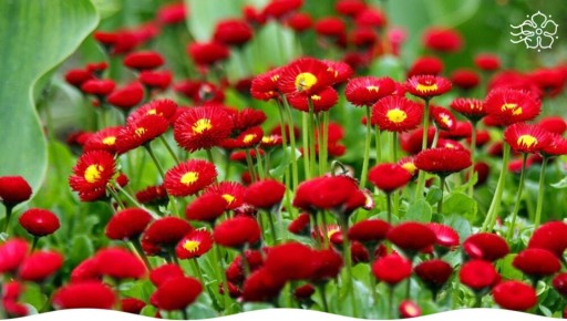 ��������� �����, ������� ���������� ��� ���