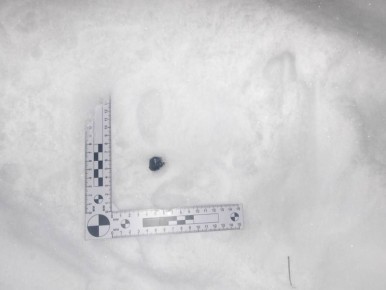 � ���������� ����������� ��������� ������������� � ���������� ������� ����������