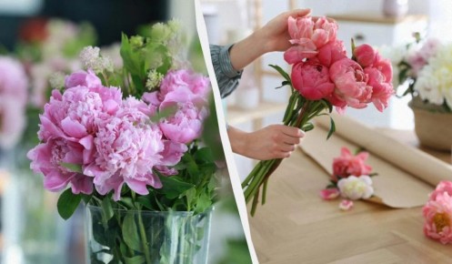 ��� ��������� ����� ������� �� ��� ������: ������� �����