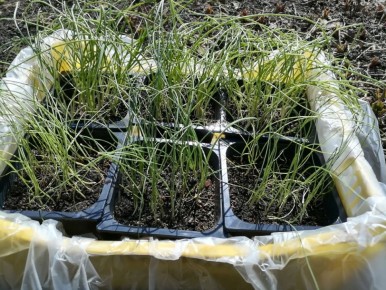 ��� �������� ������ ������� ���� ����� �������: 5 ���������������� ������