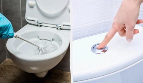 Как правильно смывать унитаз: с закрытой или открытой крышкой?