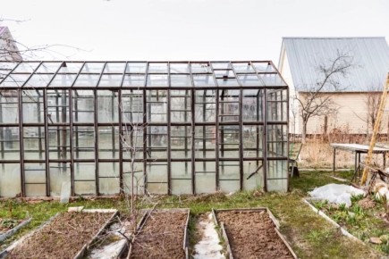 Что посеять в теплице зимой: советы от эксперта