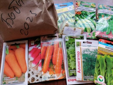 Что сажать в мае: раскрываем секреты успешного посева