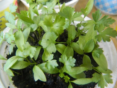 ����� � ��� ����� ������ ��������: ������ �� ������� ���������