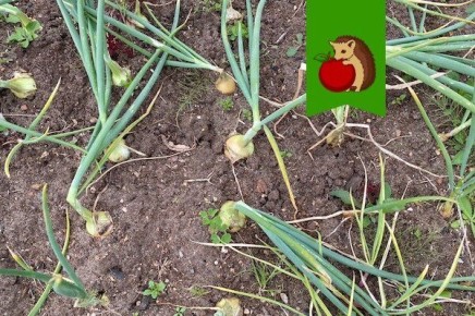 ��� �������� ��������� ����� ������� ���� ��� ������� ������