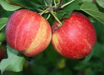 ������ ����� ������� ������� ������ � ����