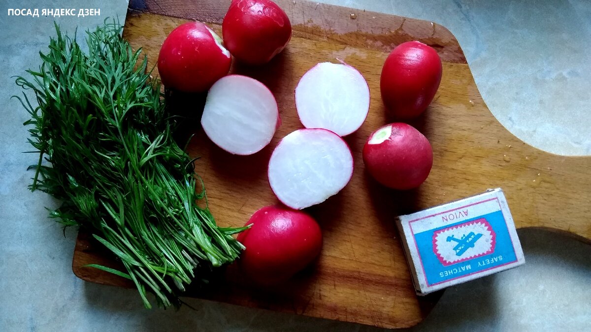 Секреты успешного выращивания ранней редиски