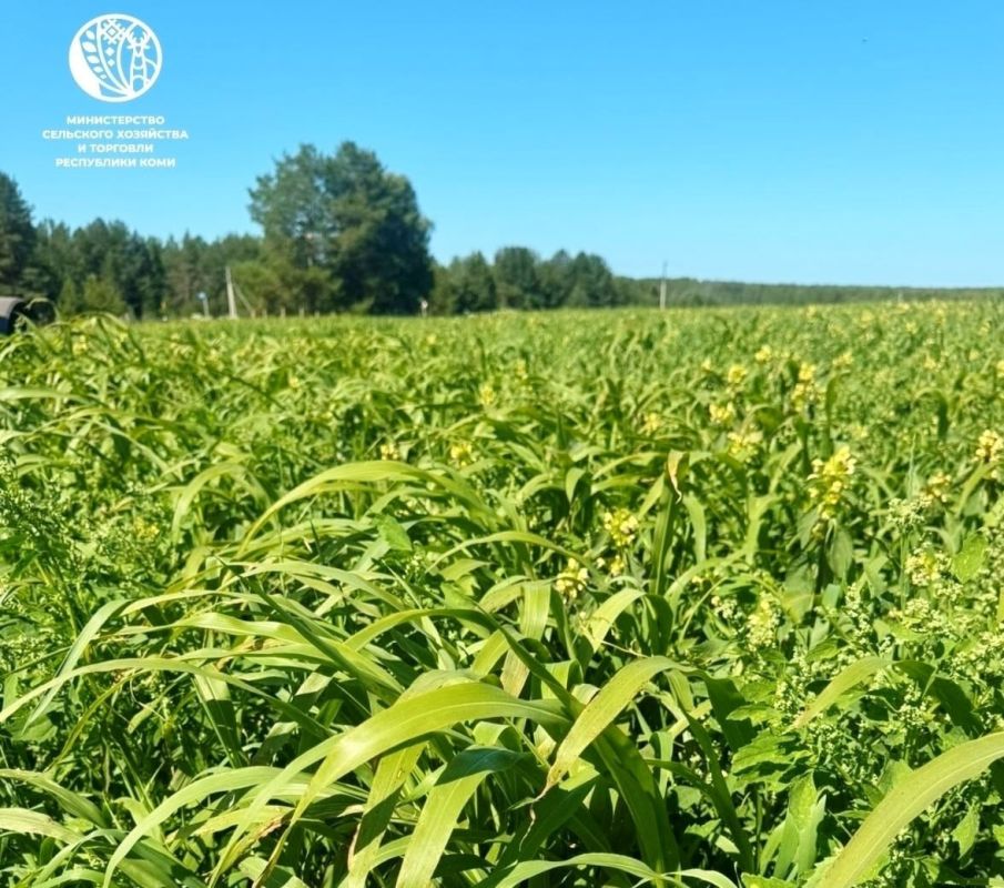 ��������������� � ���� ������� ����� ������ ��������