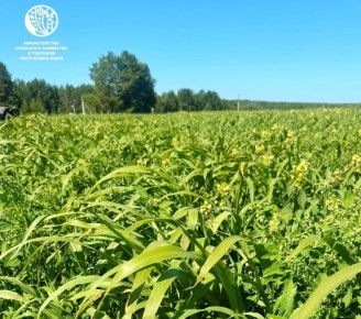 ��������������� � ���� ������� ����� ������ ��������