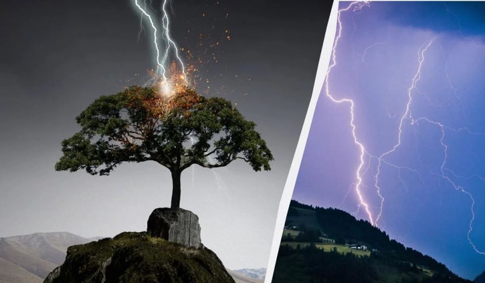 �������, ������������� ������: ����� ���� ����� ������� �������� �� ����