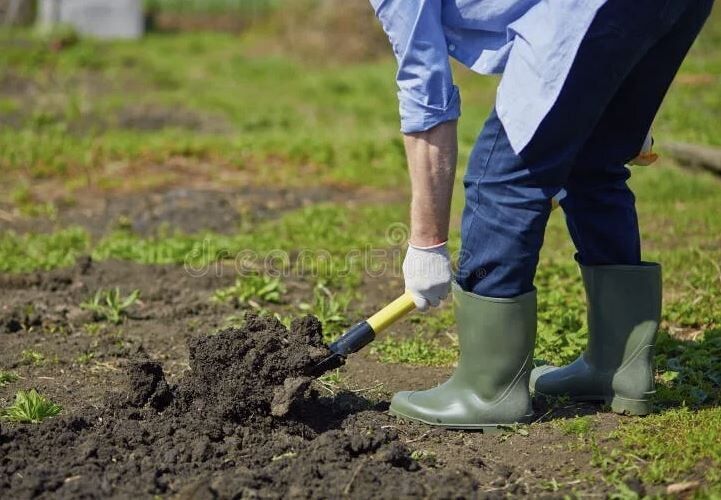 ��� ������ � ������� �������� ���������� �� ��������: ������� ����� � ����������