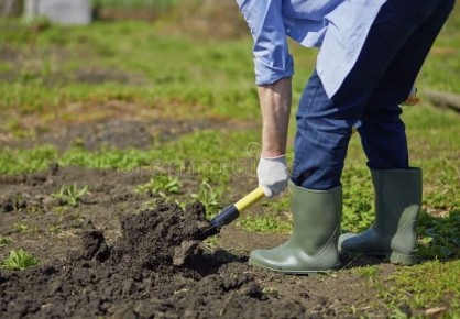 Как работа в огороде помогает справиться со стрессом: научные факты и психология