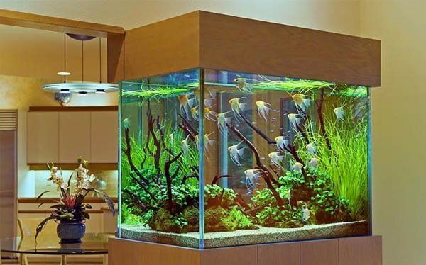 ����� ������� ������� � ������: ������ �� ����� �� ����������