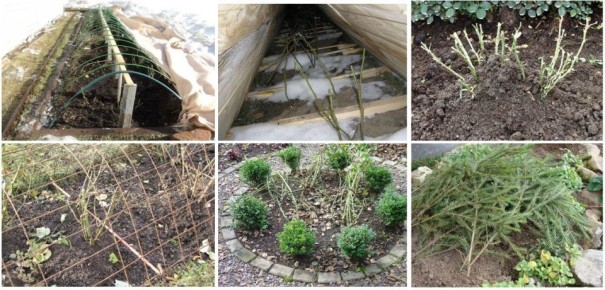 ������ ������ ��� ������� ��������: ��� ��������� �������� �� �����