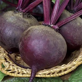 Необычный суперфуд: Почему свекла должна быть в вашем меню