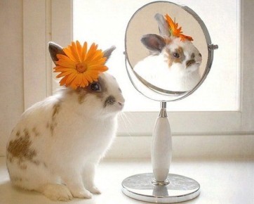 Как быстро поднять настроение: простые советы