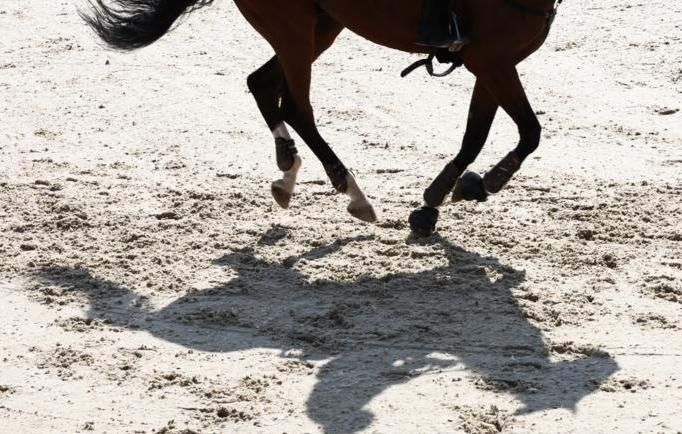 ������ ���������� ������� �������� ����������� ������ � �����