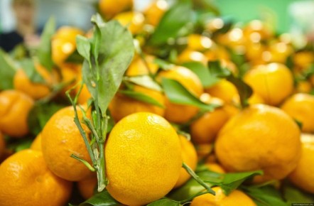 Как еда может укрепить ваш иммунитет зимой