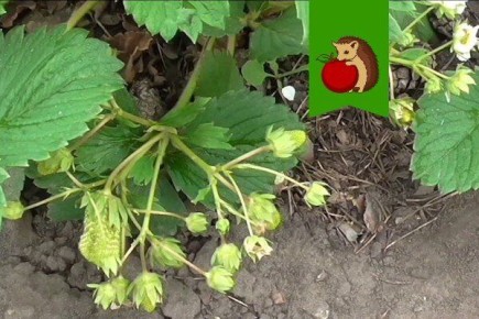 ������ ������ �������� ������ � ��� � ���� ��������?